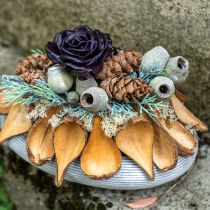 gjenstander Frukt- og frøkapselbelger Pradeep Pods 9-12 cm naturell 50 stk.