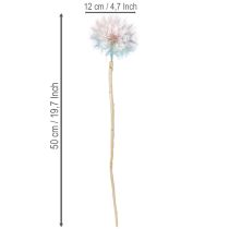 gjenstander Løvetanndekorasjon, tørkede blomster, stabilisert og farget, delikat, slitesterk, 12 cm, 4 stk.