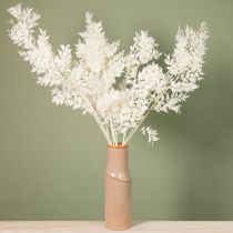 gjenstander Ruscus-grener dekorative grener tørkede blomster bleket 10 stk