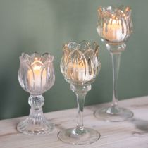 gjenstander Telysholder i glass, dekorativ blomsterform for en stilig atmosfære, 17 cm