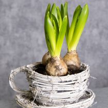 gjenstander Tekopp laget av naturmateriale med rustikk sjarm for eksklusiv innendørsdekorasjon 13 cm