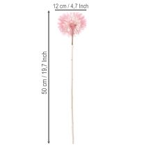 gjenstander Tørkede blomster gigantisk løvetanndekorasjon elegant hjemmetilbehør 12 cm 4 stk
