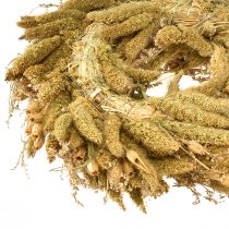 gjenstander Dekorativ tørket krans med teasels og hirse i gul-olivengrønn, naturlig landlig stil, Ø28 cm, allsidig vegg- og borddekorasjon