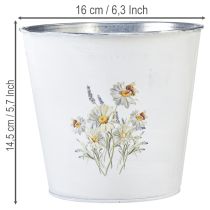 gjenstander Hvit metallplantekasse, blomsterpotte, Ø16 cm H14,5 cm