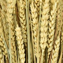 gjenstander Hvetebunte naturlig dekorativ hvete 1 bunt 150g