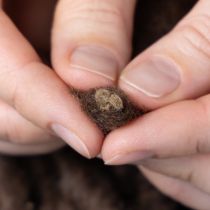 gjenstander Fluffy Mirabell ullsnor, brun, 25m dekorativt bånd for blomsterdekorasjon og håndverk