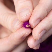 gjenstander Ulsnor, lilla, 55 m dekorativ hyssing til blomsterdekorasjon og håndverk