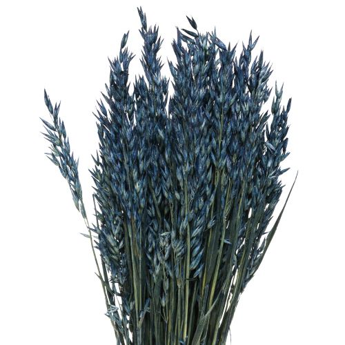 Floristik24 Tørkede blomster, havre tørket korn dekorasjon blå 68cm 230g
