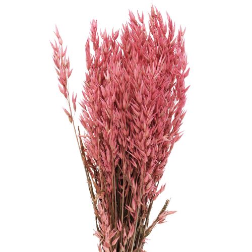 Tørkede blomster, havre tørket korn dekorativ rosa 65cm 160g
