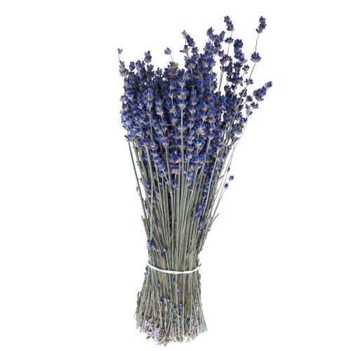 Tørket lavendel haug med tørkede blomster Blå 25cm 75g