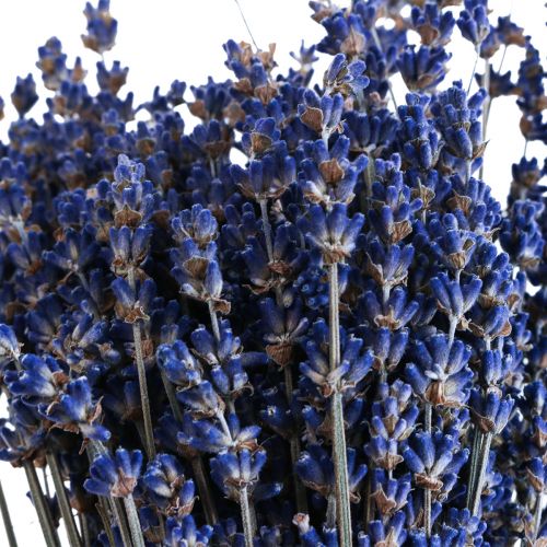 Tørket lavendel haug med tørkede blomster Blå 25cm 75g