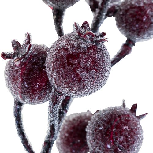 Floristik24 Nypegren bærgren frost kunstplante rød 25cm 12stk