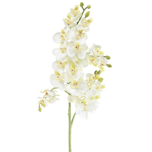 Floristik24 Phalaenopsis Kunstige Orkideer Kunstige Blomster Hvit 70cm