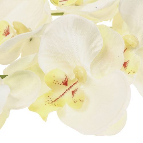 Floristik24 Phalaenopsis Kunstige Orkideer Kunstige Blomster Hvit 70cm