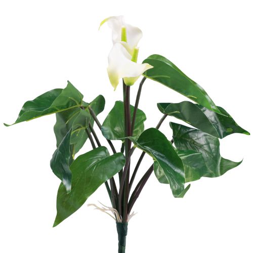 gjenstander Calla Lily Kalla Kunstige Blomster Hvite Eksotiske Blomster 34cm