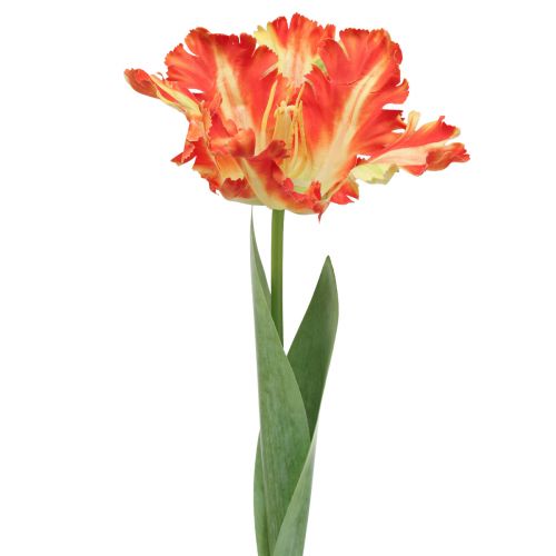 Floristik24 Kunstig blomster papegøye tulipan kunsttulipan oransje 69cm