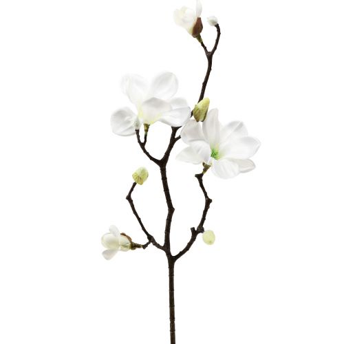 Floristik24 Kunstig blomst magnolia gren magnolia kunstig hvit 58cm 3 stk