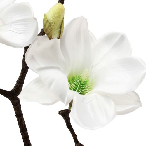 Floristik24 Kunstig blomst magnolia gren magnolia kunstig hvit 58cm 3 stk