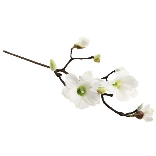 Floristik24 Kunstig blomst magnolia gren magnolia kunstig hvit 58cm 3 stk