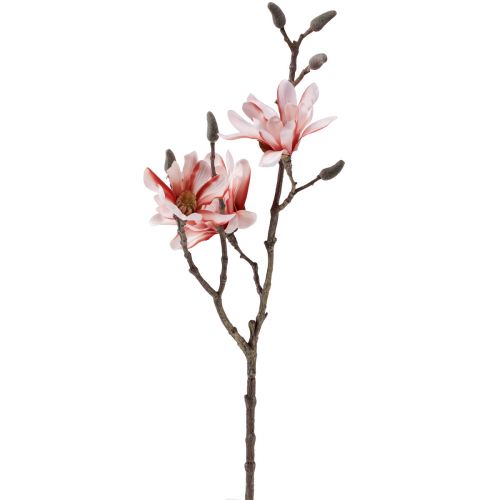 Floristik24 Magnolia grein magnolia kunstlaks 58cm