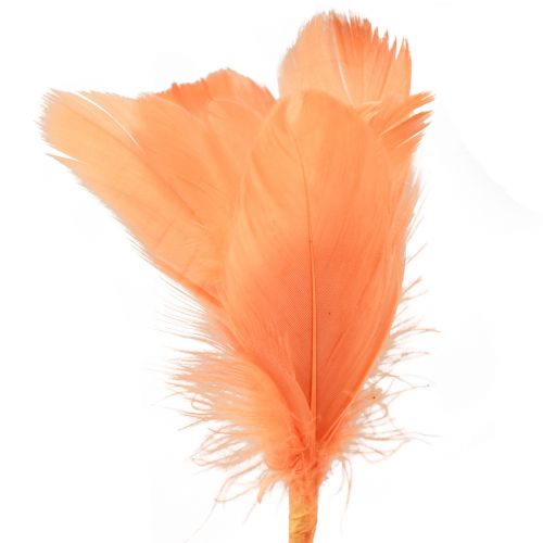 gjenstander Dekorfjær oransje fuglefjær på pinne 36cm 12stk
