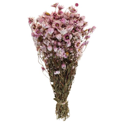 Floristik24 Halmblomster tørkede blomster hvit rosa 20-35cm bunt 40g