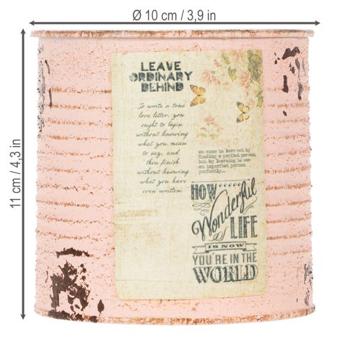 gjenstander Blomsterpotte dekorativ boks laks metall sommerdekorasjon Ø11cm H10.5cm