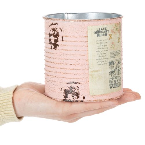 gjenstander Blomsterpotte dekorativ boks laks metall sommerdekorasjon Ø11cm H10.5cm