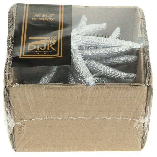 Floristik24 Sjøstjerne Sølv Maritim Dekor Sjøstjerne Sommerdekorasjon 7,5cm 10 stk