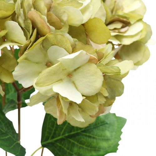 Floristik24 Hortensia bukett kunstgrønn, brun 5 blomster 48cm