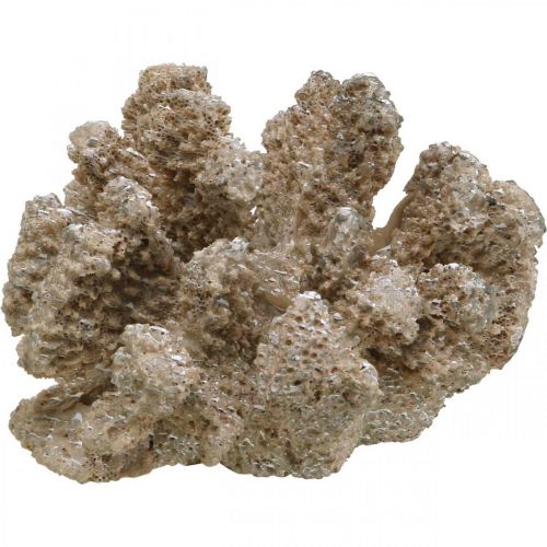 Maritim dekorasjon, sjødyr, dekorasjon korall polyresin 13,5x11,5cm