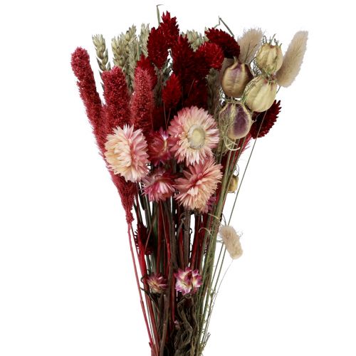 Tørket blomsterbukett stråblomster Phalaris rød 30cm