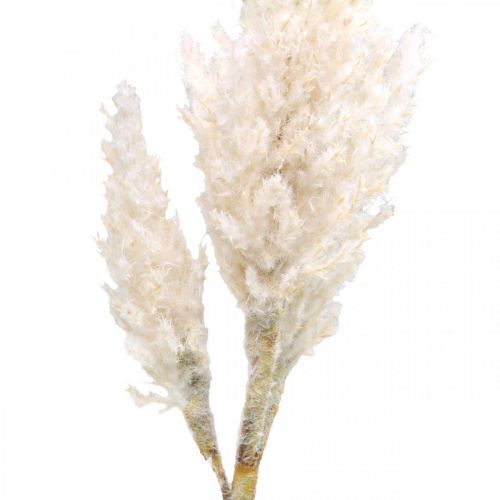 gjenstander Pampagress hvit krem kunstig tørt gress dekorasjon 82cm