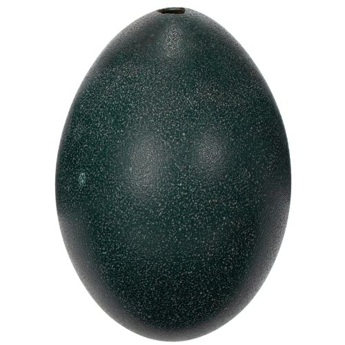 gjenstander Emuei-dekorasjoner for festlig hjemmedekor og stilige detaljer til påske