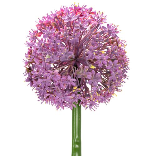 Floristik24 Kunstig Allium-blomst, prydløk, elegant romdekorasjon, 90 cm