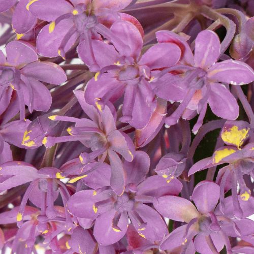 gjenstander Kunstig Allium-blomst, prydløk, elegant romdekorasjon, 90 cm