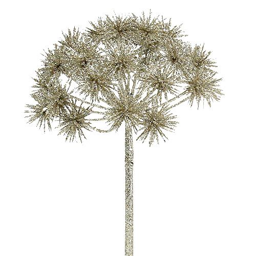 Floristik24 Allium med glimmer champagne Ø18cm L70cm