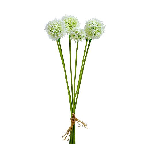 Floristik24 Allium 35cm hvit 6stk