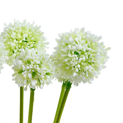 gjenstander Allium 35cm hvit 6stk