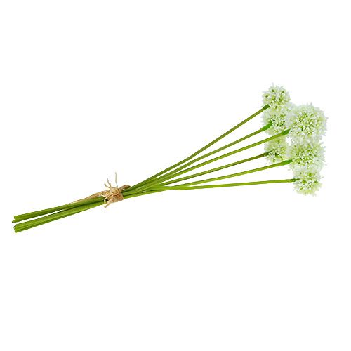 Floristik24 Allium 35cm hvit 6stk