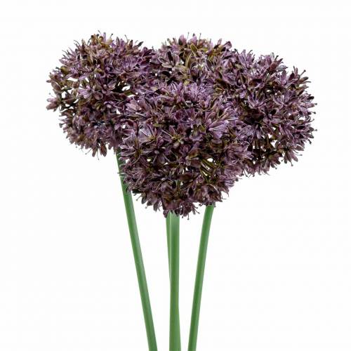 Floristik24 Prydløk Allium kunstig lilla Ø7cm H58cm 4stk