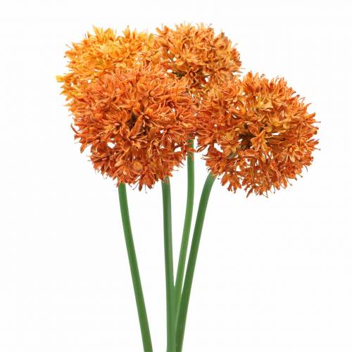 Floristik24 Prydløk Allium kunstig oransje Ø7cm H58cm 4stk