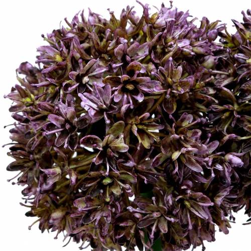 Floristik24 Prydløk Allium kunstlilla 70cm 3stk