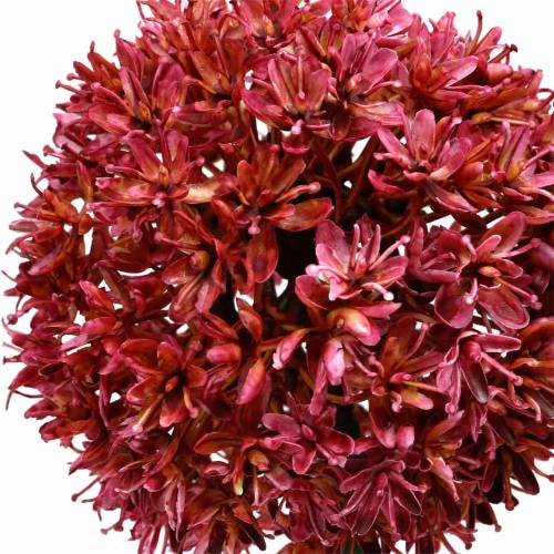 Floristik24 Prydløk Allium kunstlilla Ø9cm H70cm 3stk