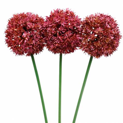 Floristik24 Prydløk Allium kunstlilla Ø9cm H70cm 3stk