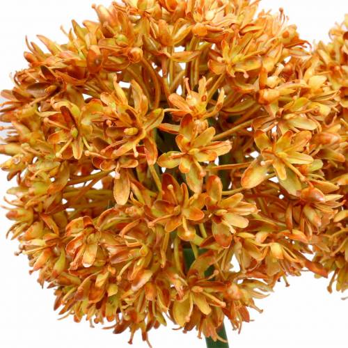 Floristik24 Prydløk Allium kunstig oransje 70cm 3stk