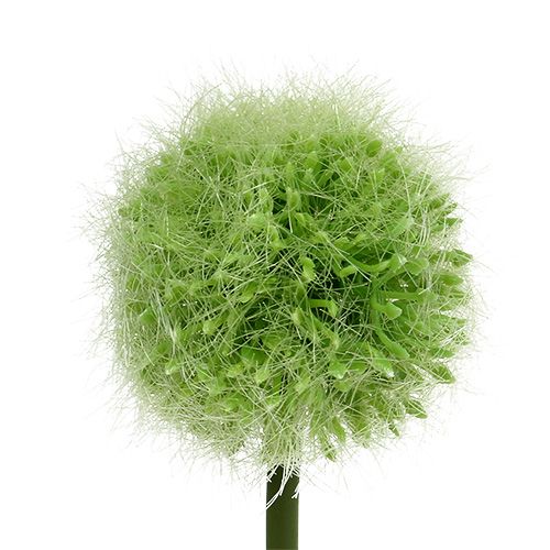 gjenstander Allium grønn L37,5cm 4stk