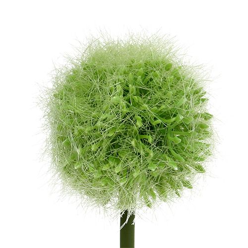 Floristik24 Allium grønn L37,5cm 4stk