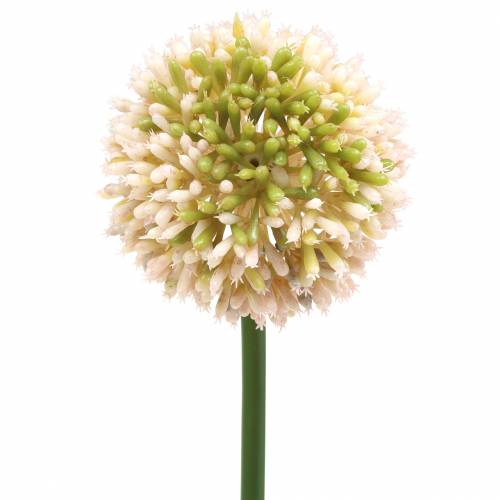 Prydløk Allium kunstig rosa / grønn Ø8cm 58cm