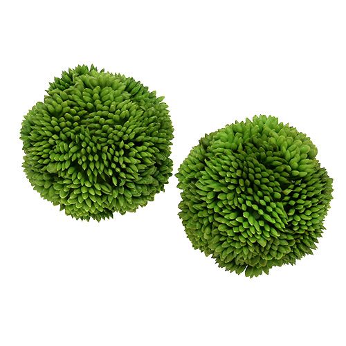 Floristik24 Alliumkule 5cm grønn 4stk